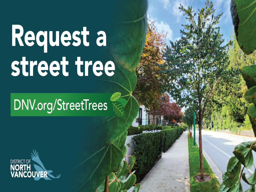 DNV – Request a Street Tree